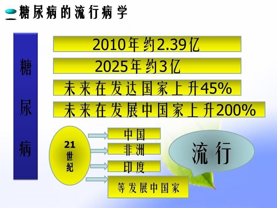 糖尿病医学课件_第5页