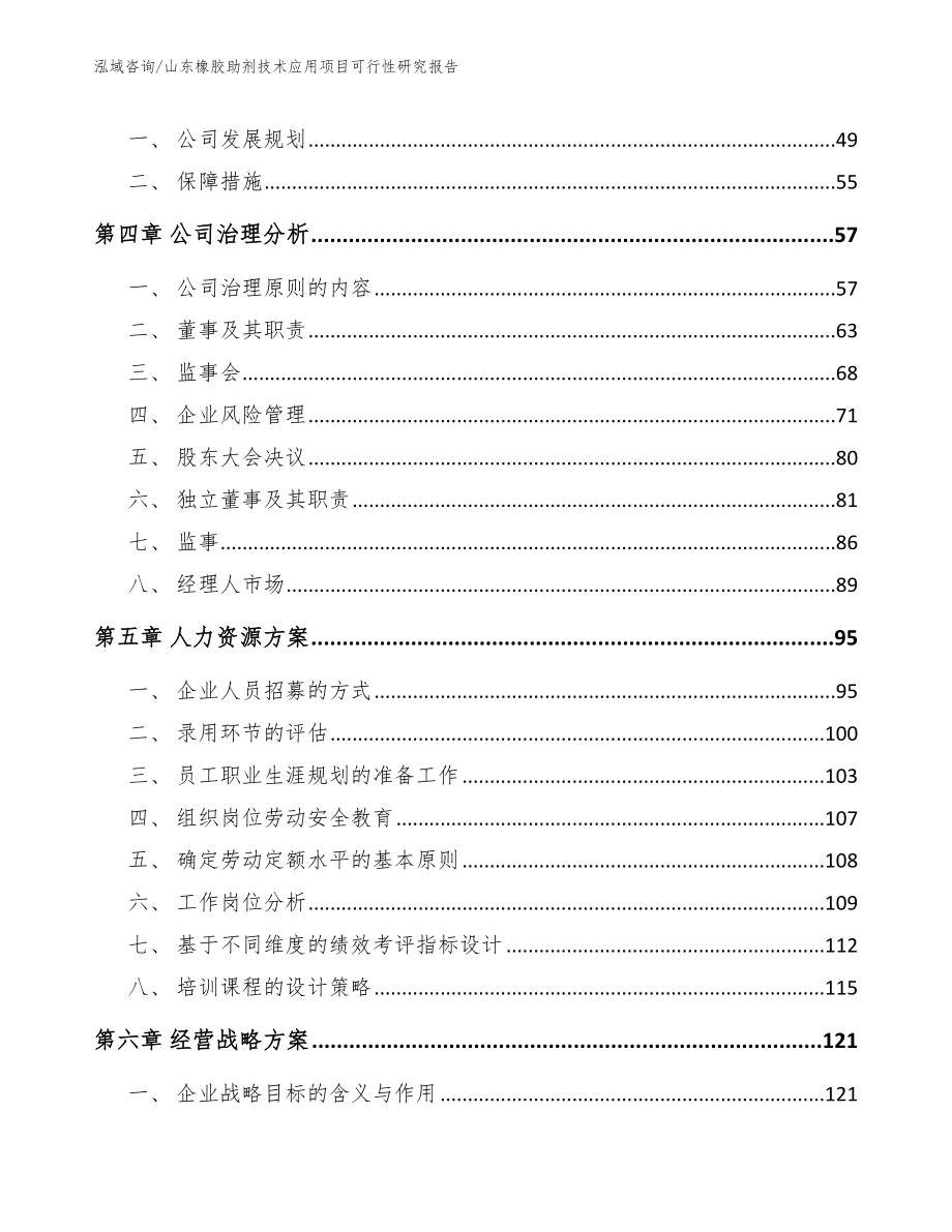 山东橡胶助剂技术应用项目可行性研究报告范文模板_第2页
