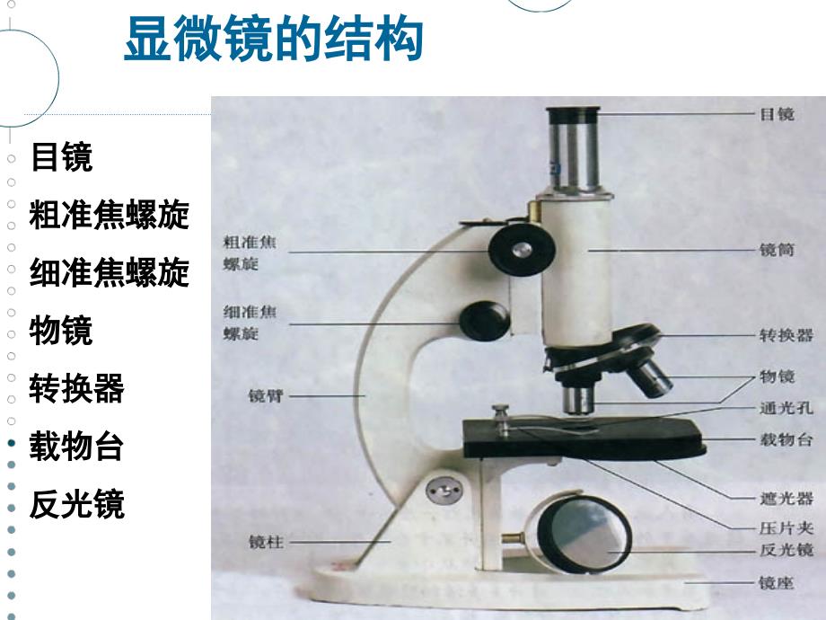 显微镜的使用11_第4页