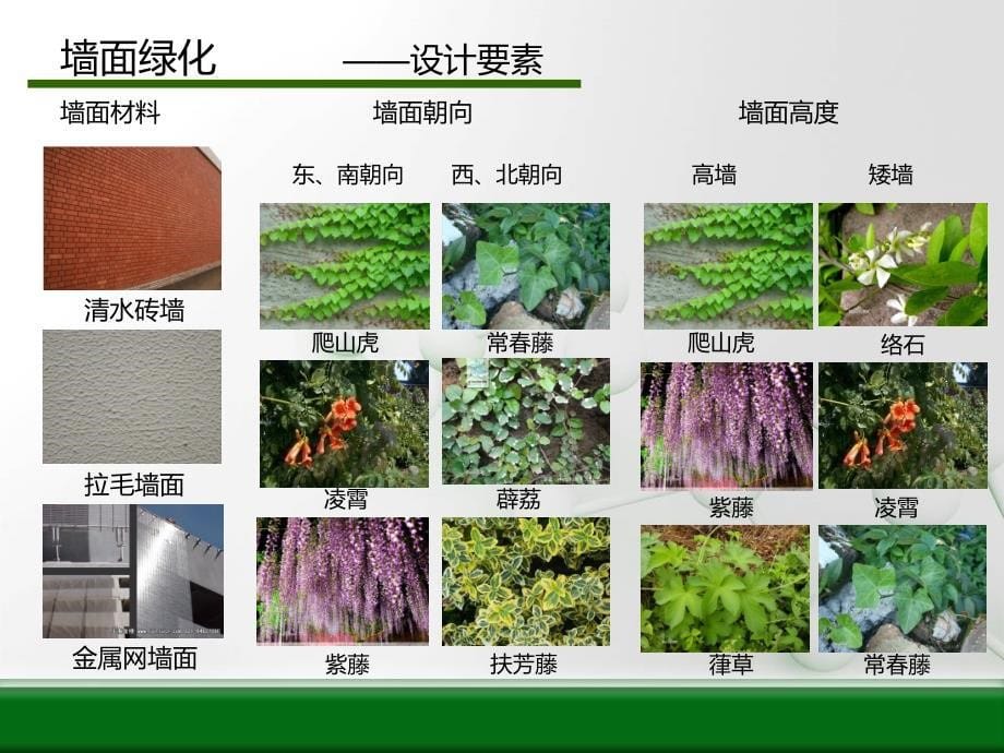 立体绿化(垂直绿化)的分类和营造方式-A_第5页