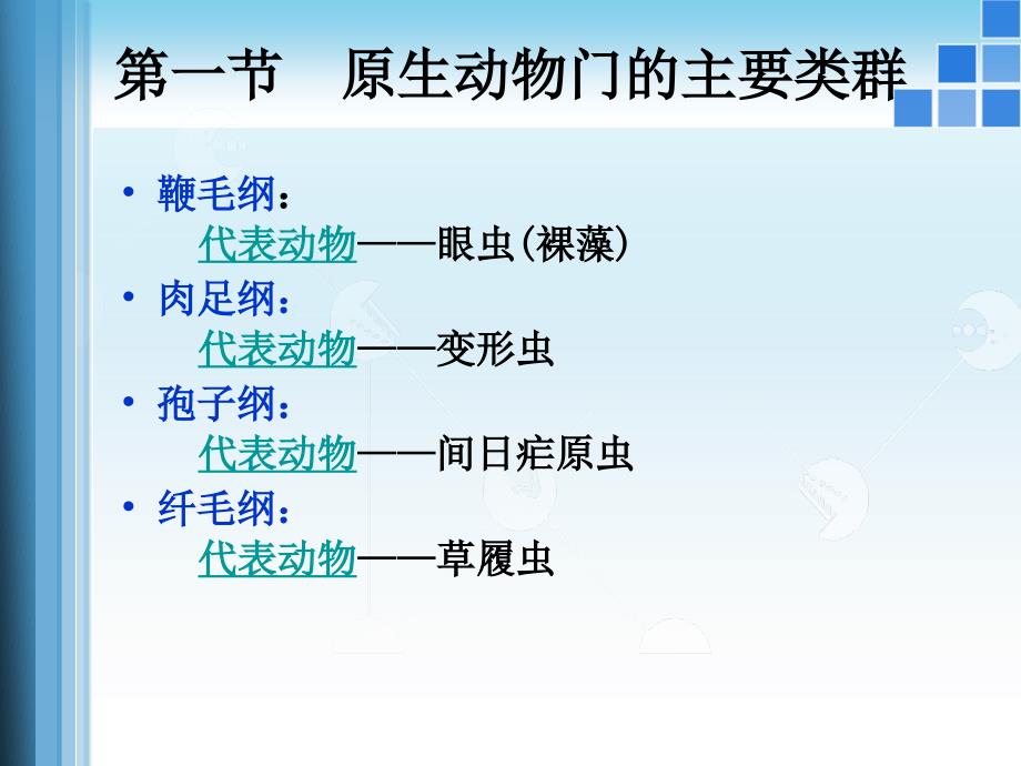 03原生动物门_第3页