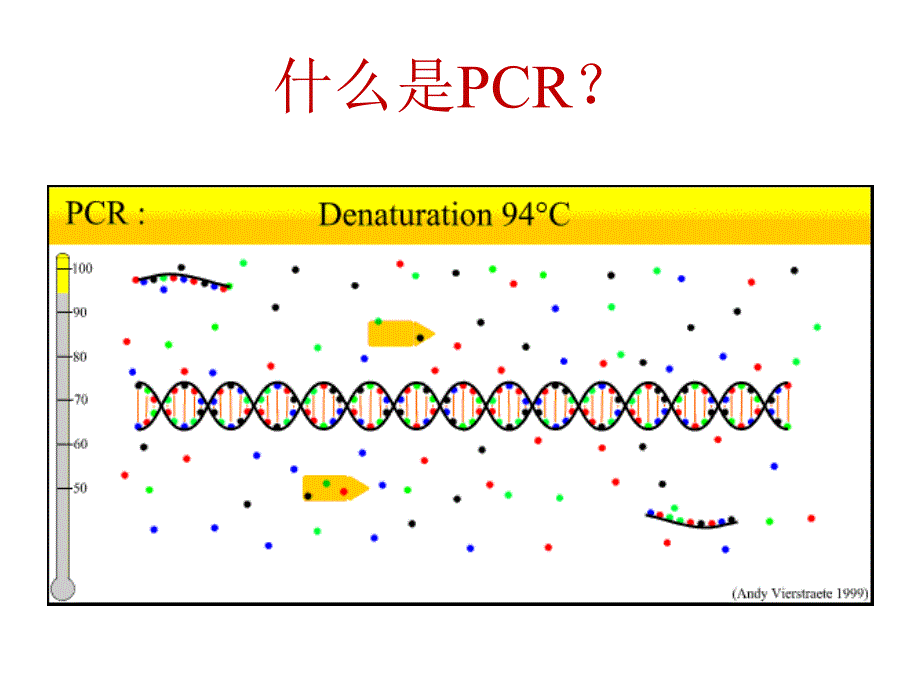 RealtimePCR检测原理和问题处理_第4页