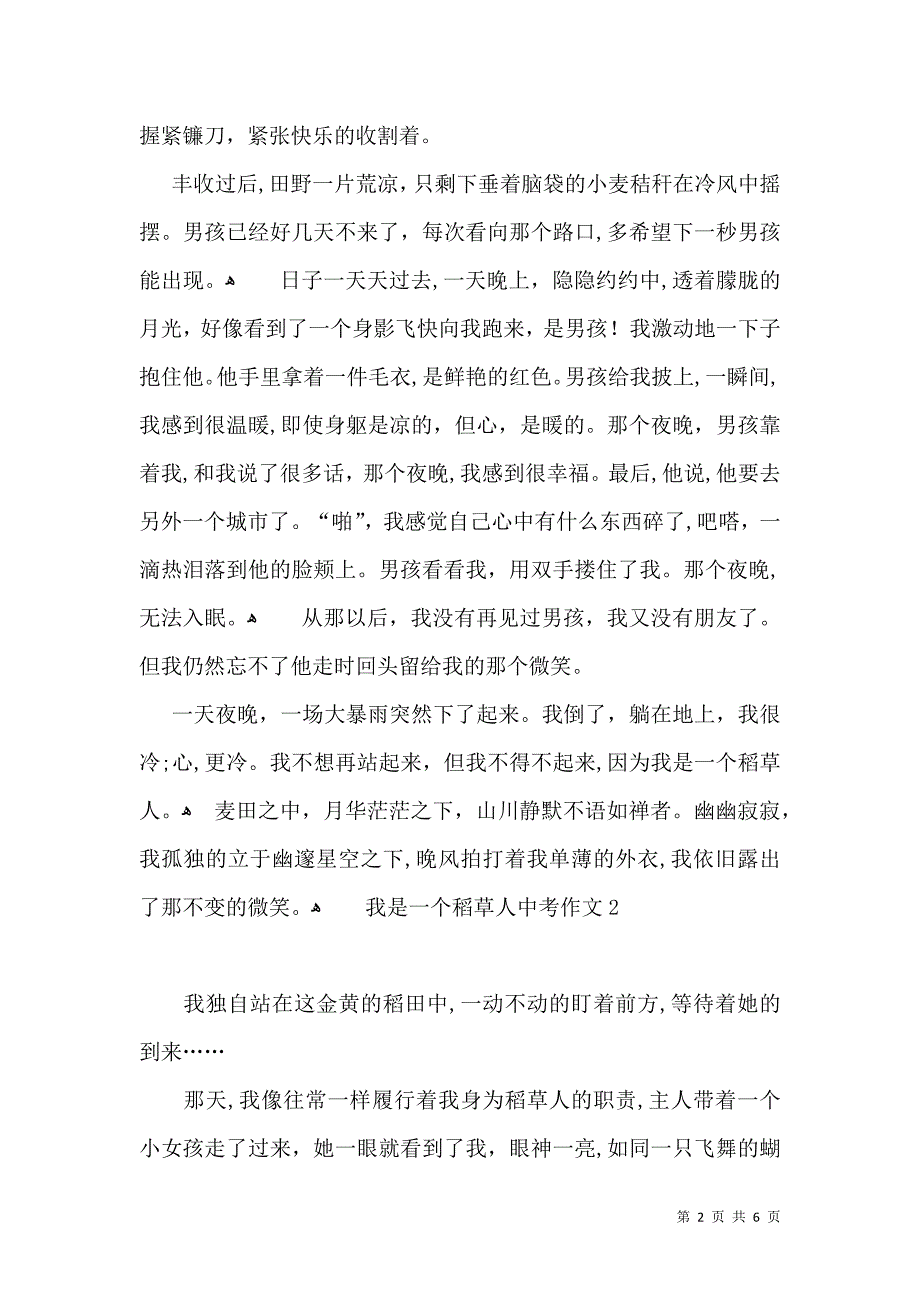 我是一个稻草人中考作文_第2页