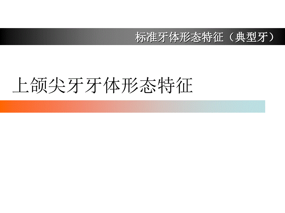 上颌尖牙牙体形态简述课件.ppt_第1页