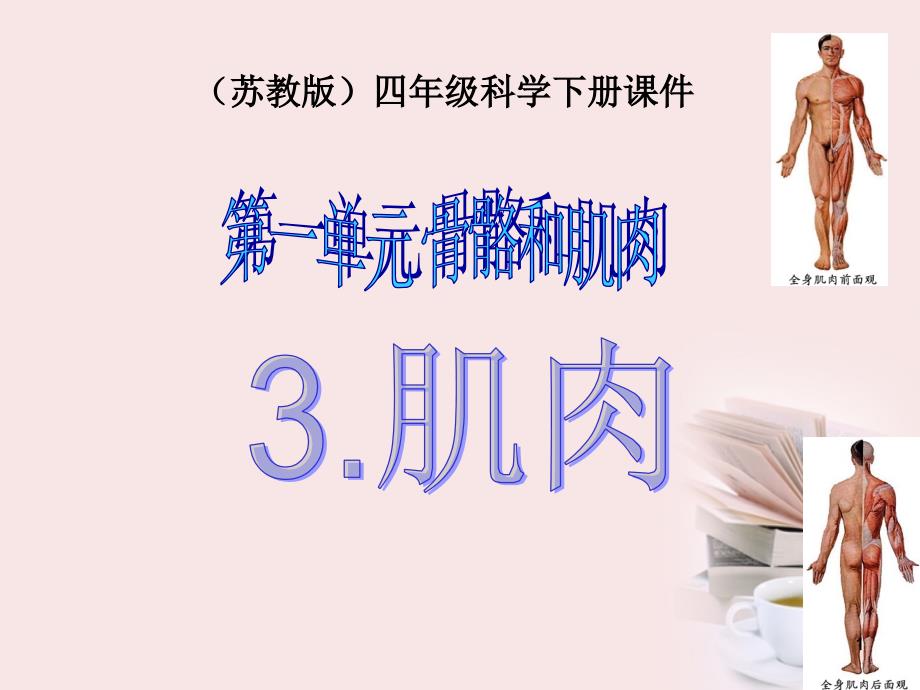 四年级科学下册肌肉ppt课件_第1页