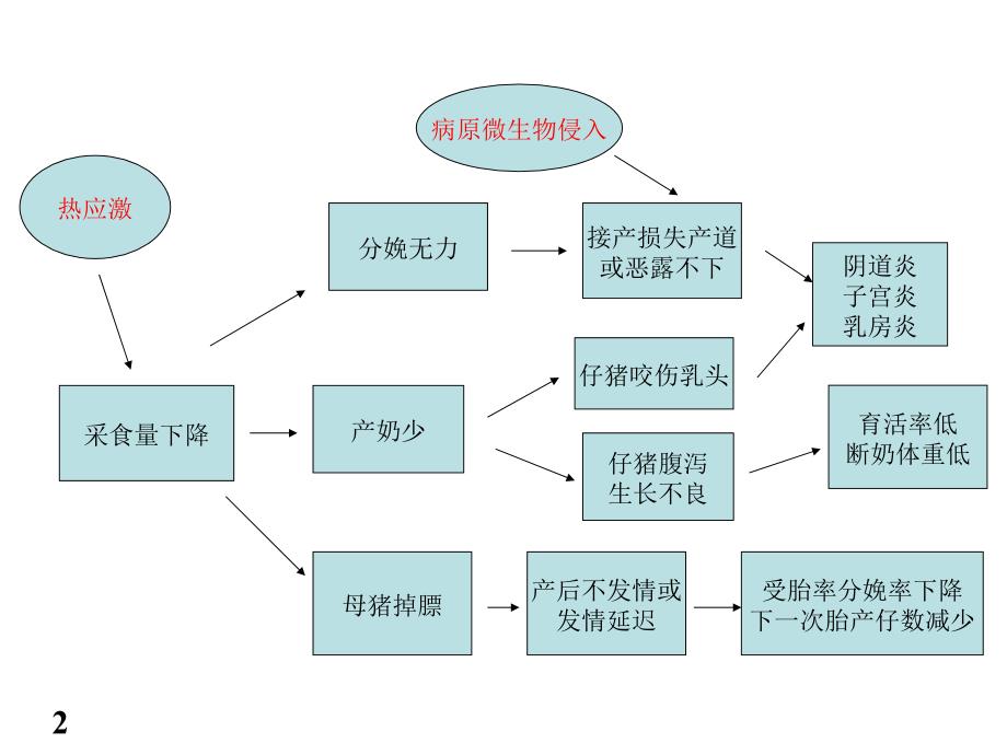 夏季母猪的保健【各行参照】_第2页