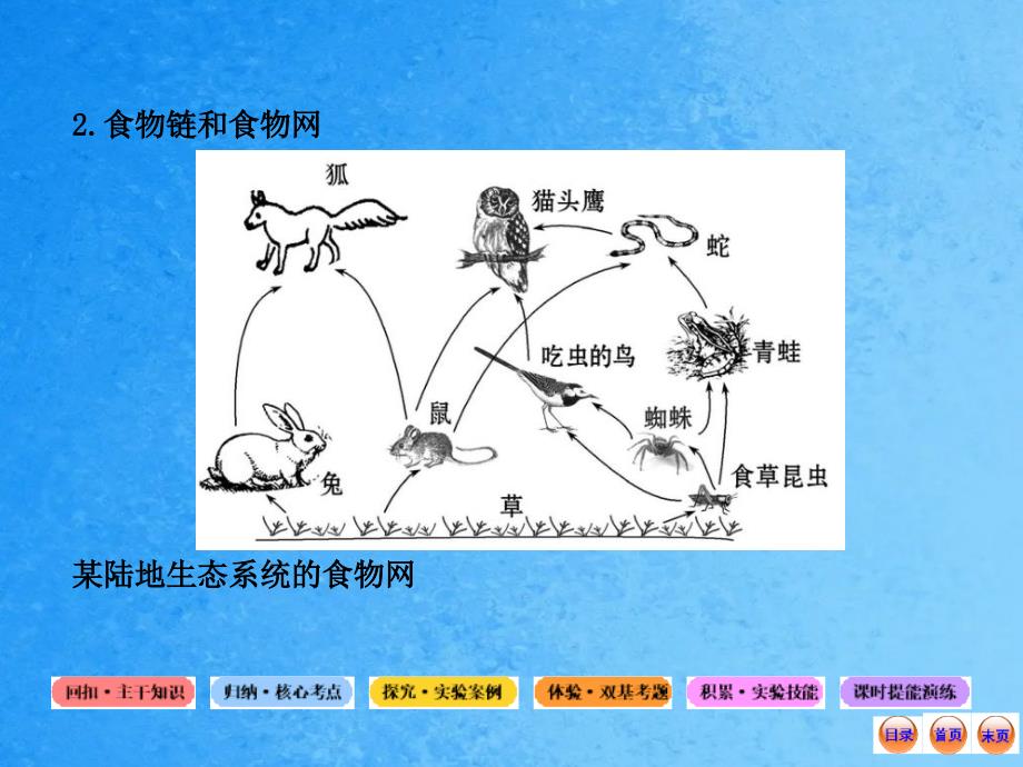 高中生物全程复习方略配套5生态系统的结构ppt课件_第5页