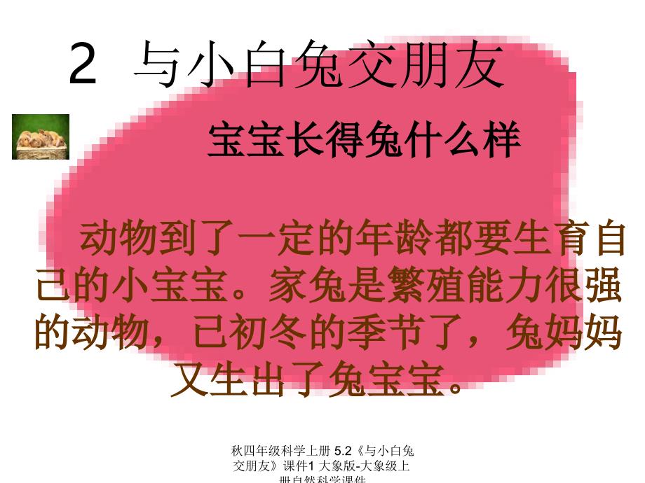 最新四年级科学上册5.2与小白兔交朋友1_第1页