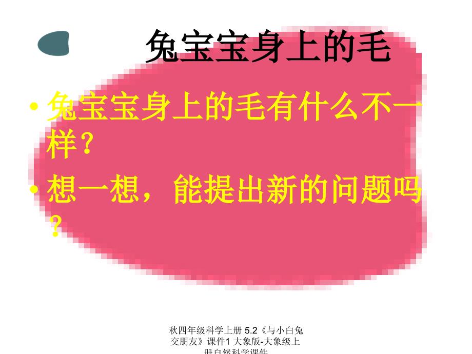 最新四年级科学上册5.2与小白兔交朋友1_第4页