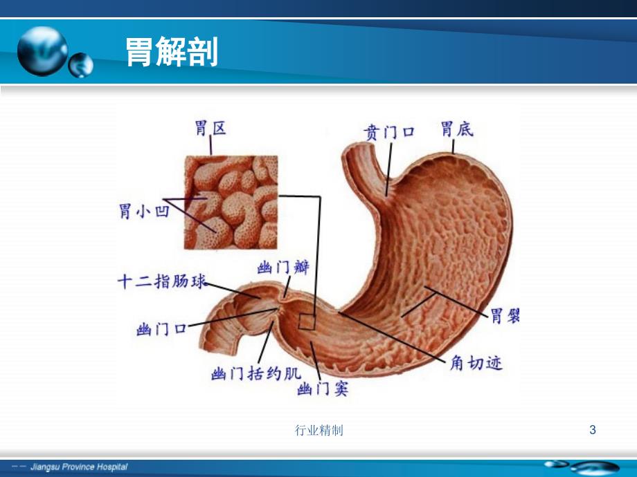 胃十二指肠疾病专家知识_第3页