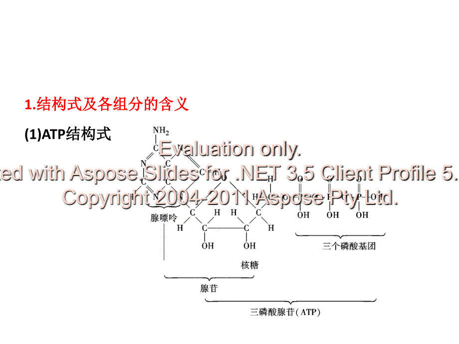 高中生物一轮复习必修酶与_第2页