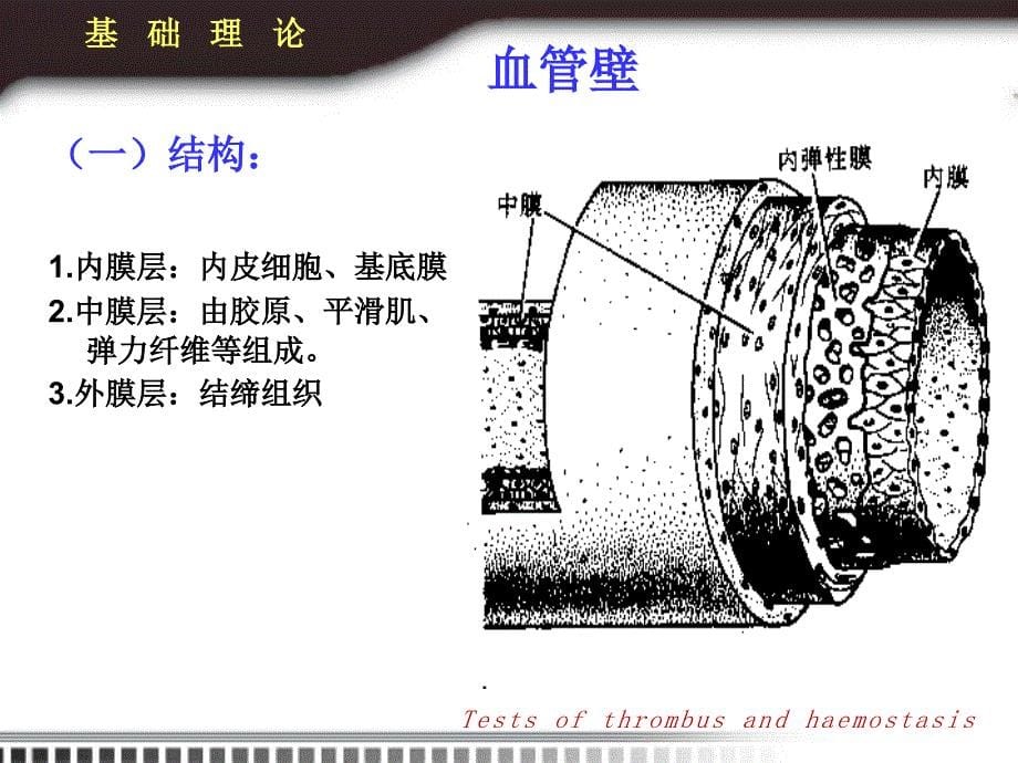 实验诊断学：止血与血栓学检验_第5页