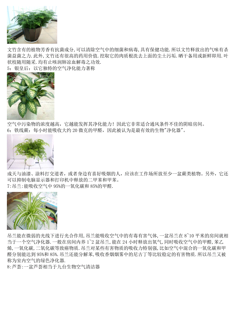 花草在房间功效.doc_第2页