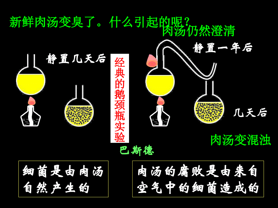 第二节-细菌(修改)课件_第3页