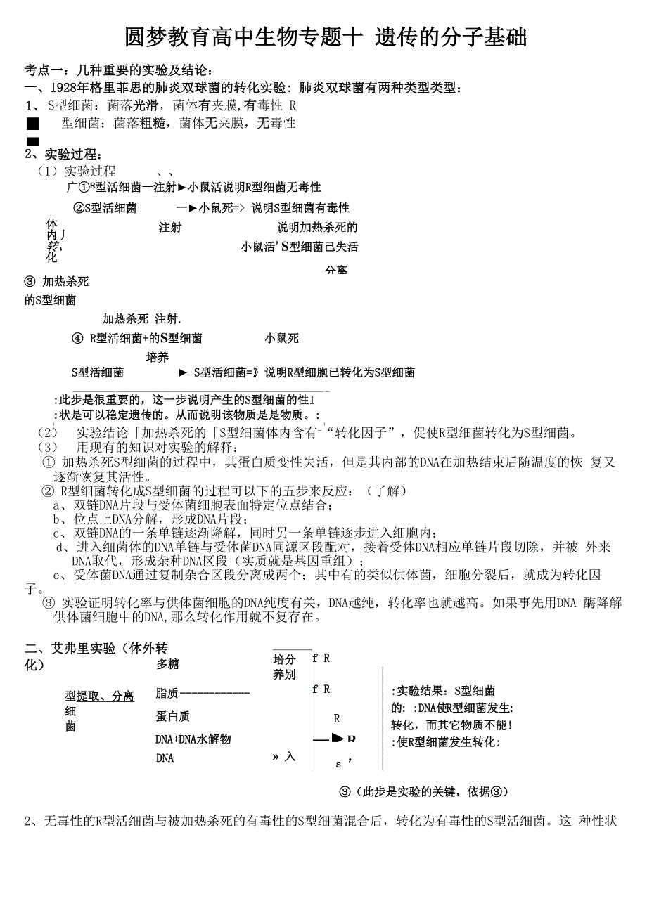 专题10遗传的分子基础总结_第1页