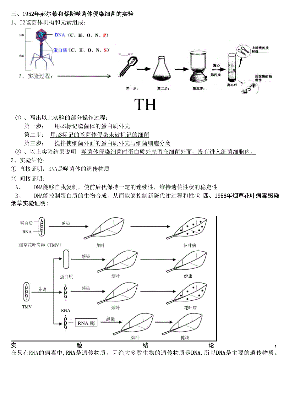 专题10遗传的分子基础总结_第3页