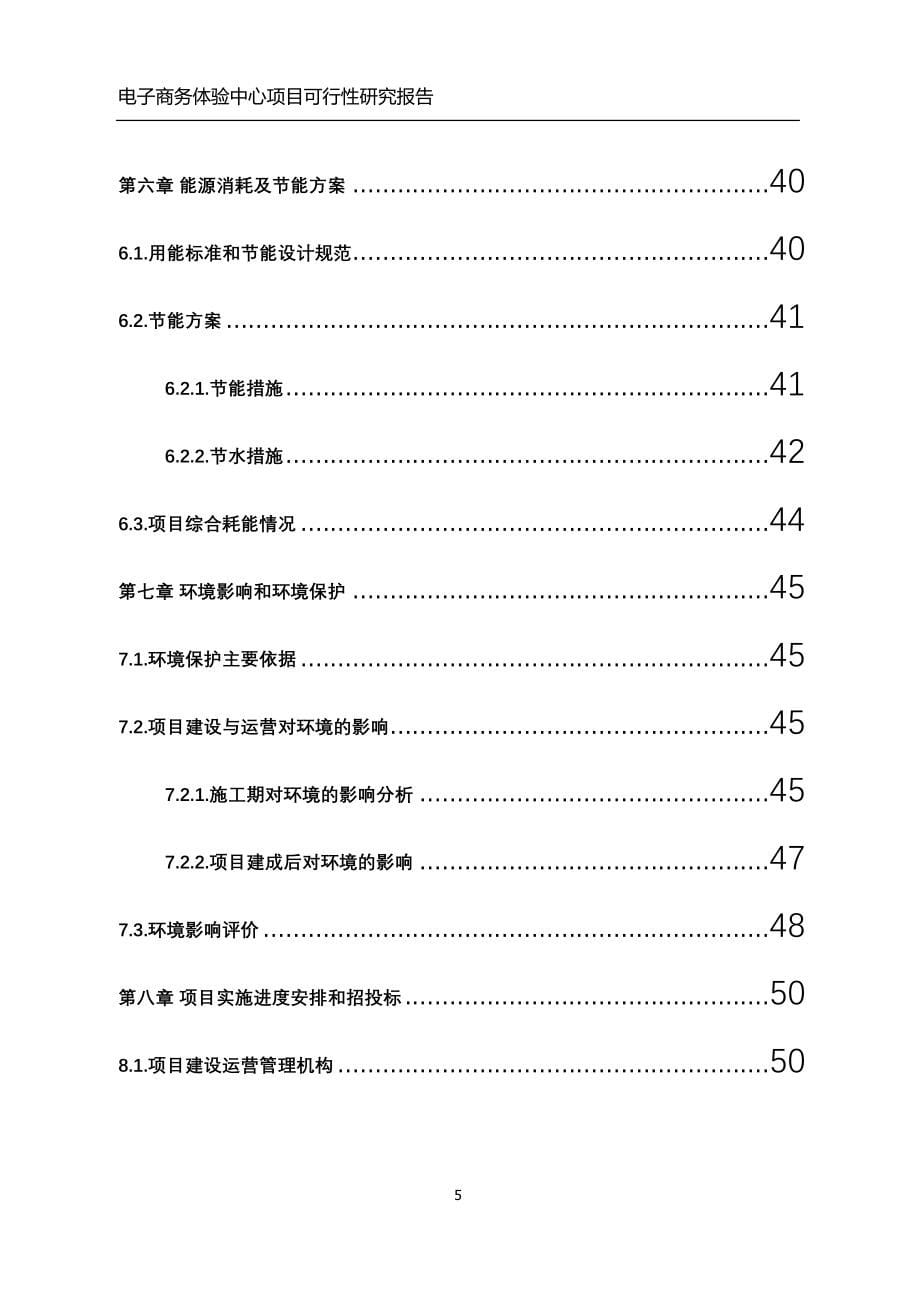 电子商务体验中心项目可行性研究报告.docx_第5页