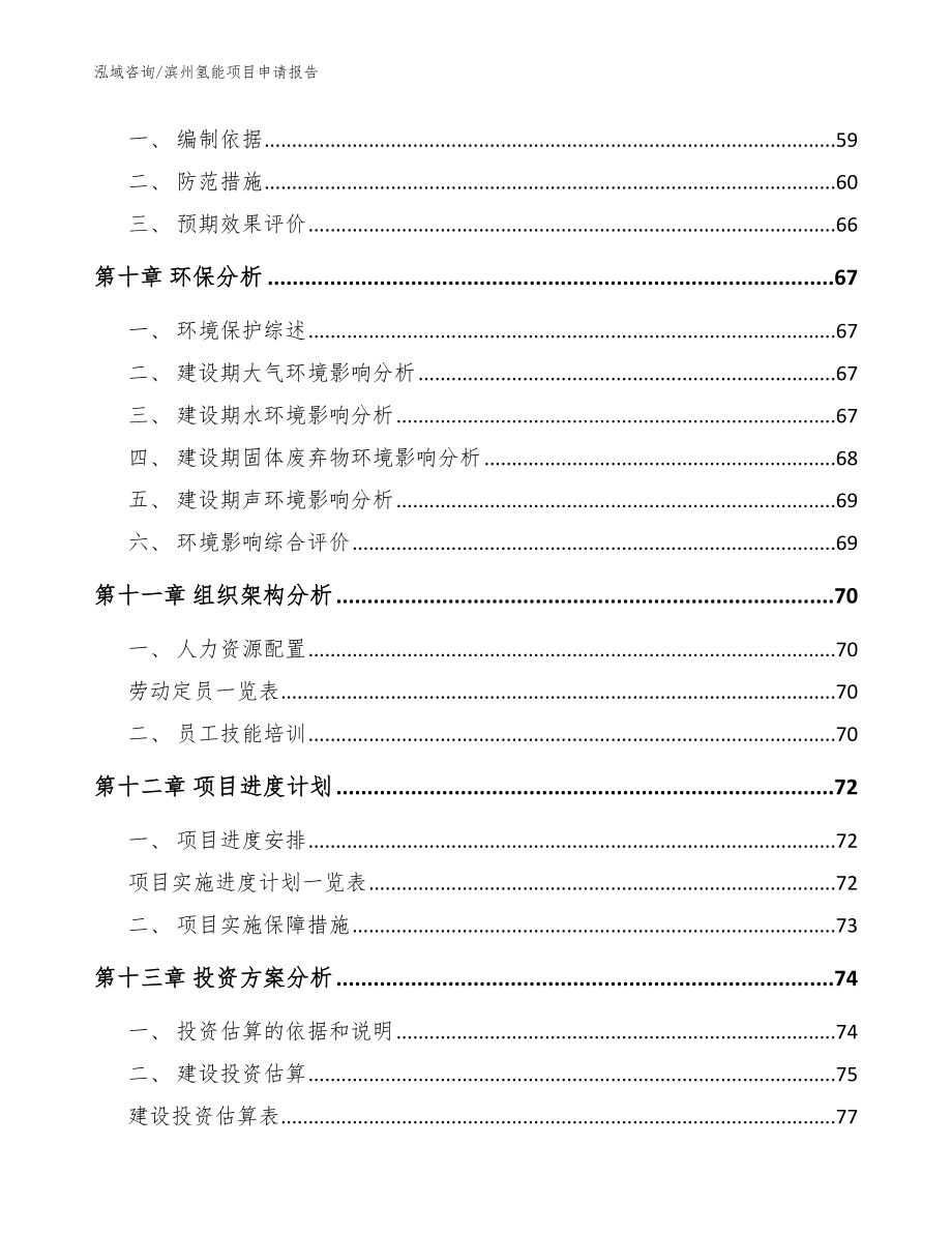 滨州氢能项目申请报告【模板范本】_第4页