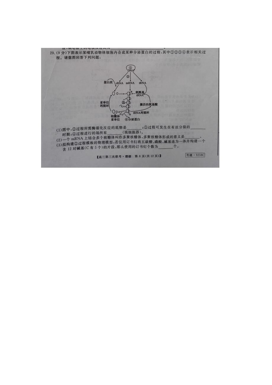 安徽省皖南八校高三理综生物部分第三次联考4月试题扫描版_第2页