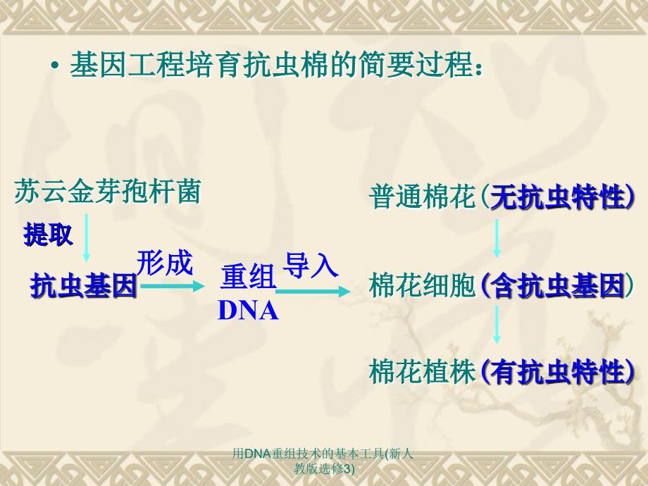 用DNA重组技术的基本工具新人教版选修3课件_第4页