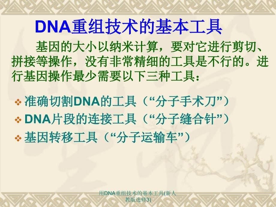 用DNA重组技术的基本工具新人教版选修3课件_第5页