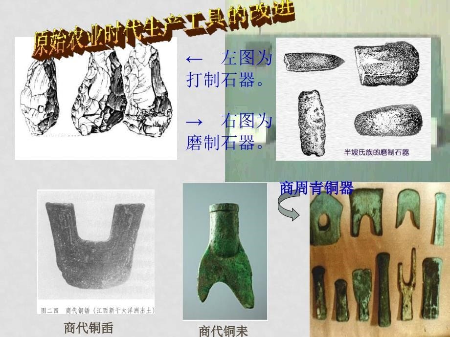 岳麓版高中历史必修2 精耕细作的农业 课件_第5页