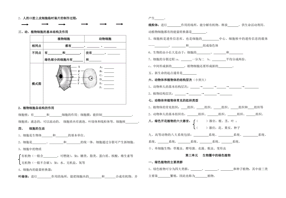 生物人教版七年级上册七上复习填空题.doc_第2页