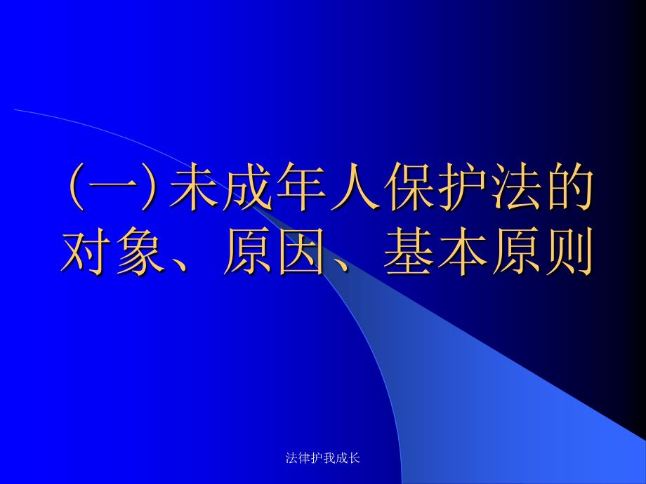 法律护我成长课件_第4页