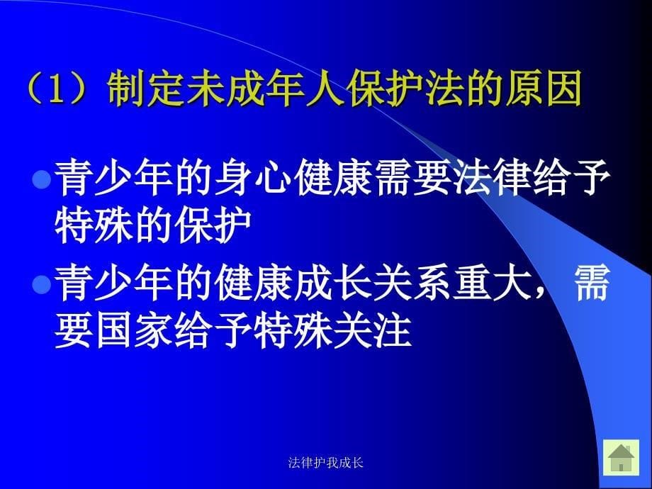 法律护我成长课件_第5页