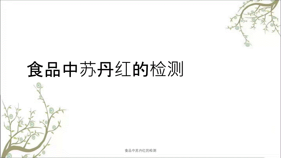 食品中苏丹红的检测_第1页