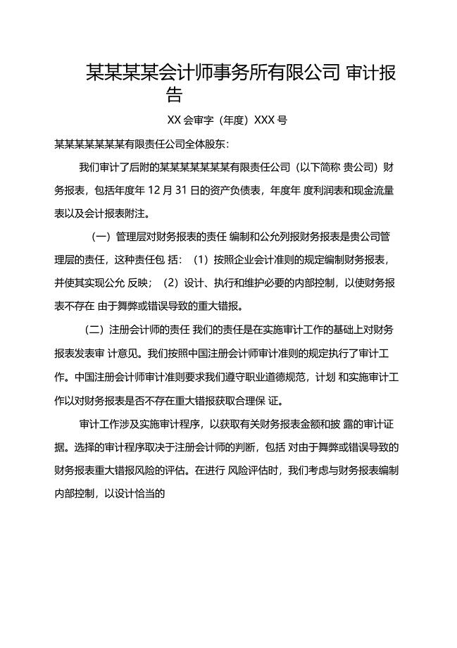 度财务审计报告财务审计报告