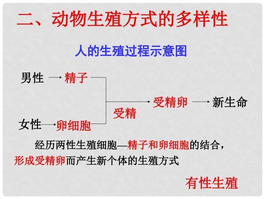 七年级科学下册 1.3 动物的生长时期课件2 浙教版_第5页