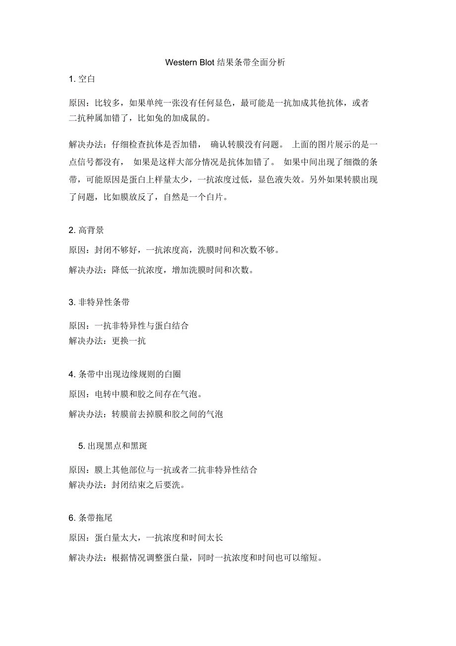 westernblot结果条带分析_第1页