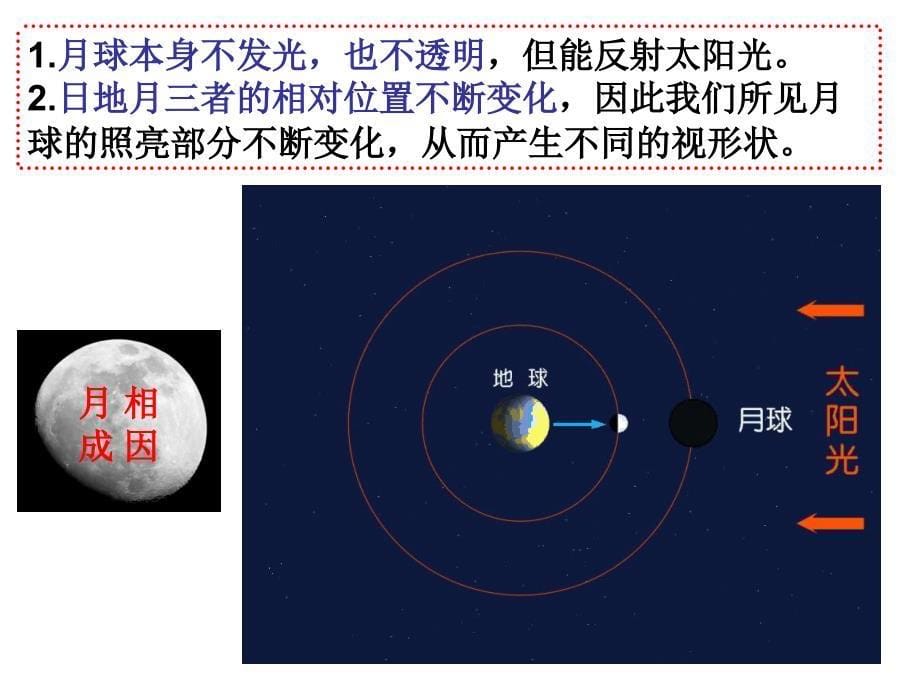 教科版六年级下册三单元2课_第5页