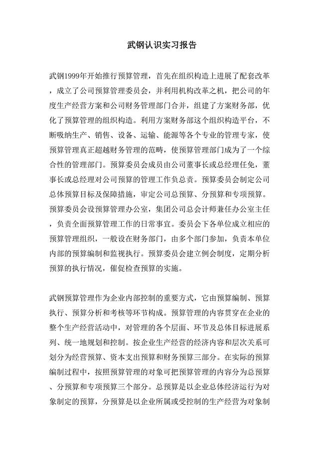 武钢认识实习报告.doc