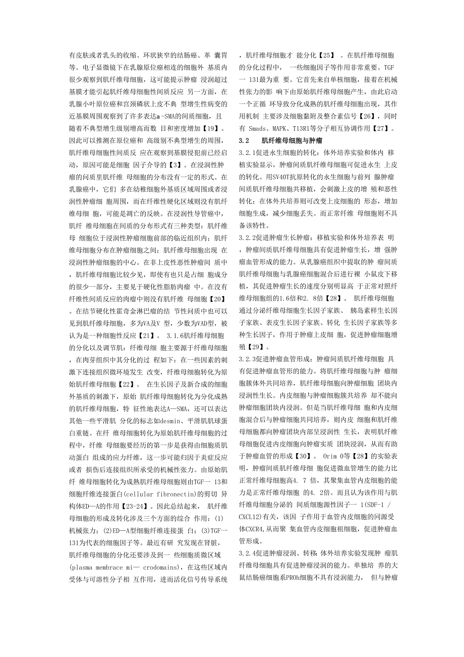 肌纤维母细胞在肿瘤的生长及侵袭性的作用_第3页