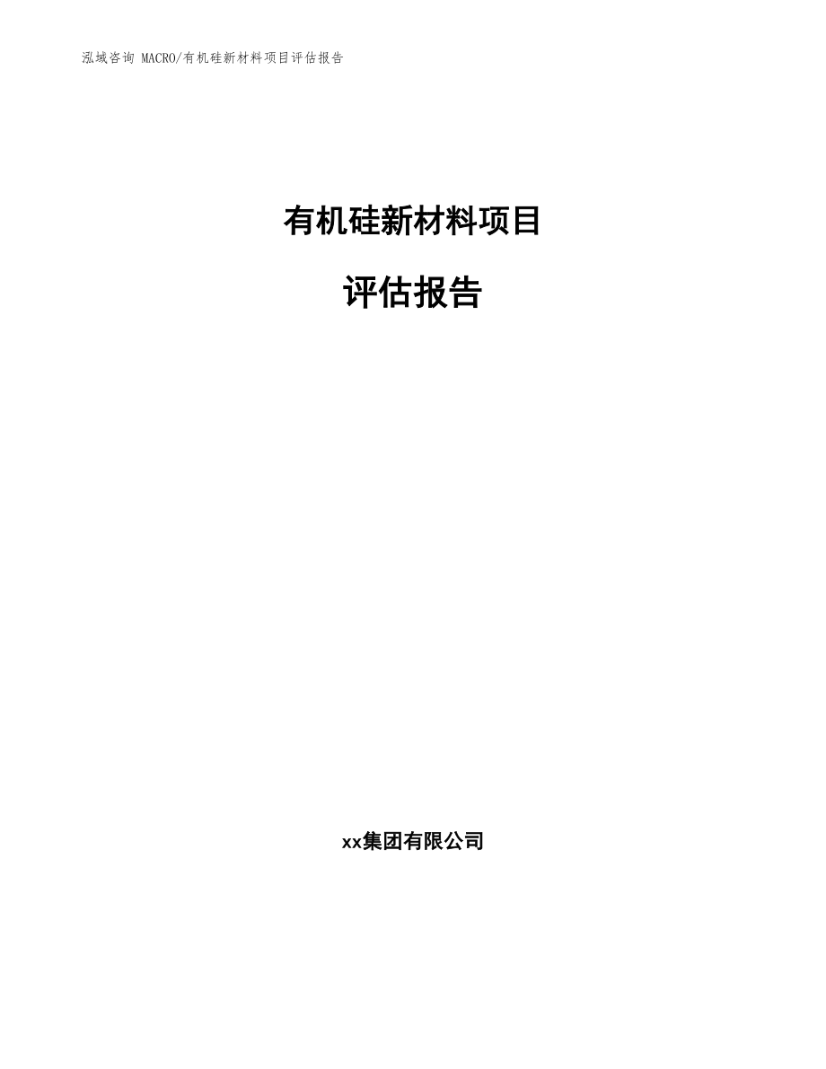 有机硅新材料项目评估报告