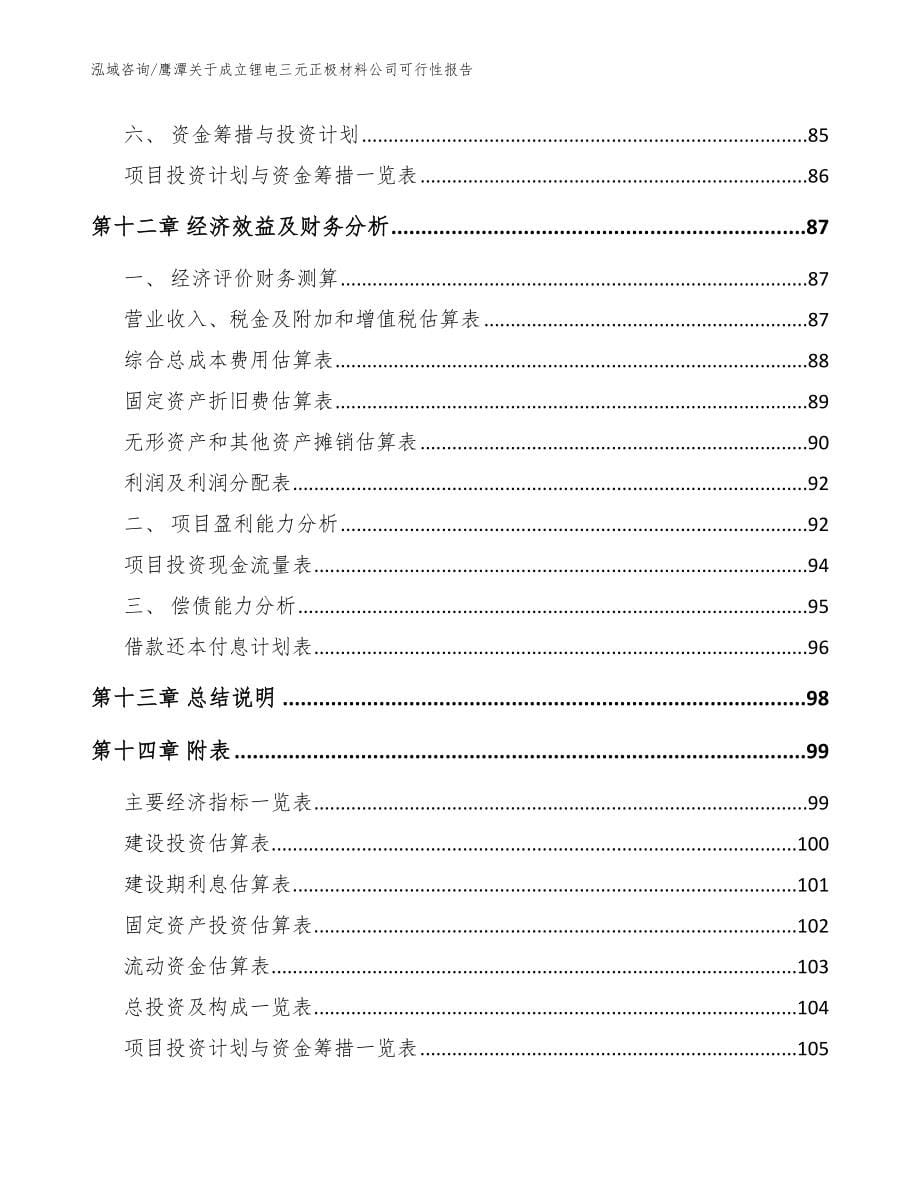 鹰潭关于成立锂电三元正极材料公司可行性报告参考模板_第5页