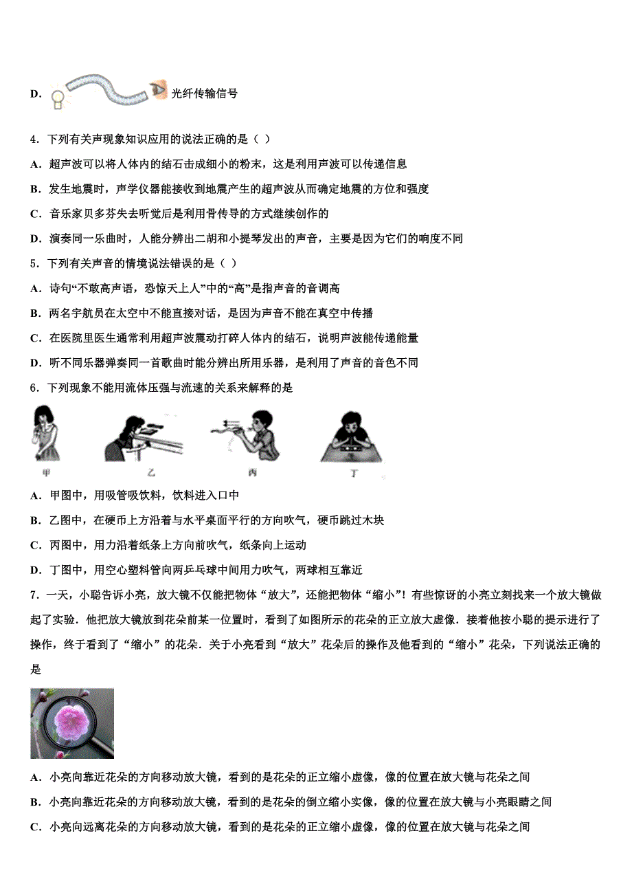 2023届湖北省宜昌伍家岗区四校联考中考物理考试模拟冲刺卷（含答案解析）.doc_第2页