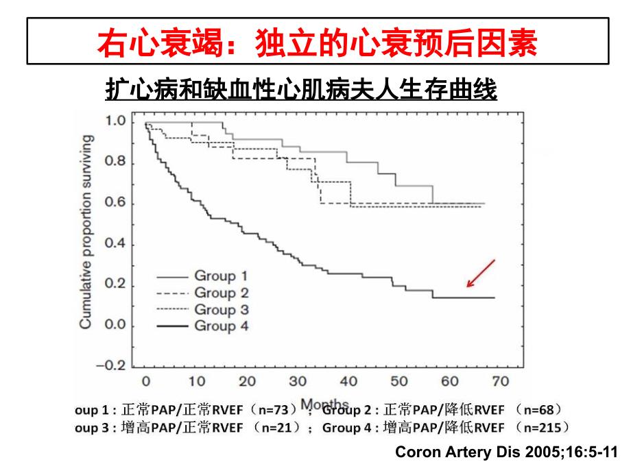 右心衰竭诊断治疗中国专家共识ppt课件_第5页