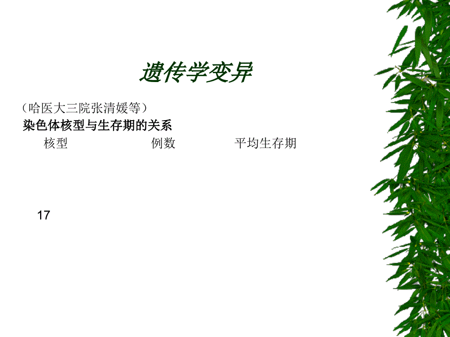 恶性淋巴瘤概述 课件_第3页