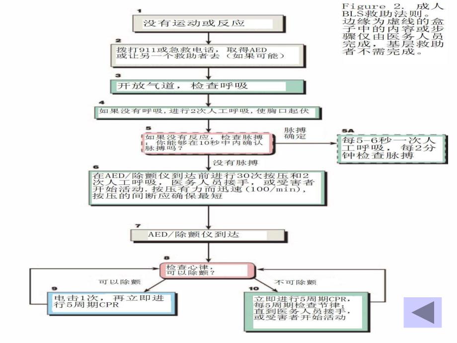 心肺复苏指南的新亮点_第4页