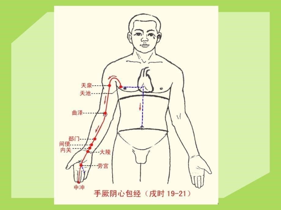 心包和心包经的作用_第5页