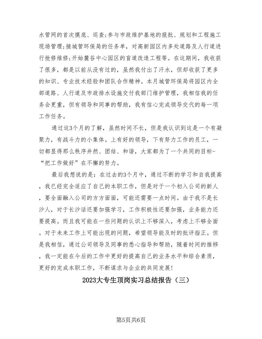 2023大专生顶岗实习总结报告（3篇）.doc_第5页