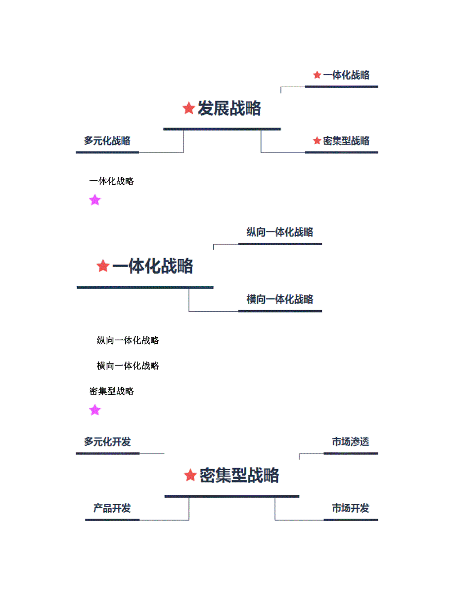 公司战略与风险管理战略选择分析流程及结构图_第4页