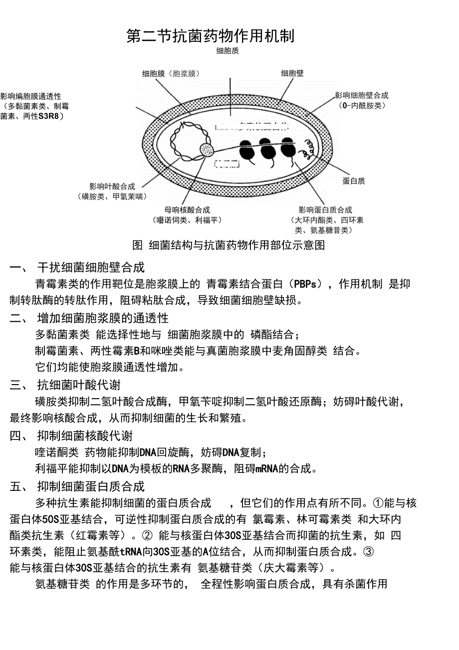 机体病原体化疗药物三者辨证关系_第3页