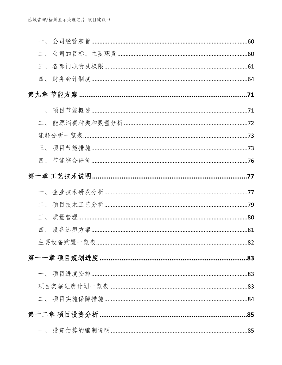 梧州显示处理芯片 项目建议书_第4页