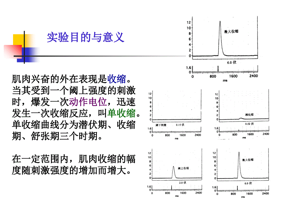 课件2肌肉神经52808839文档资料_第1页