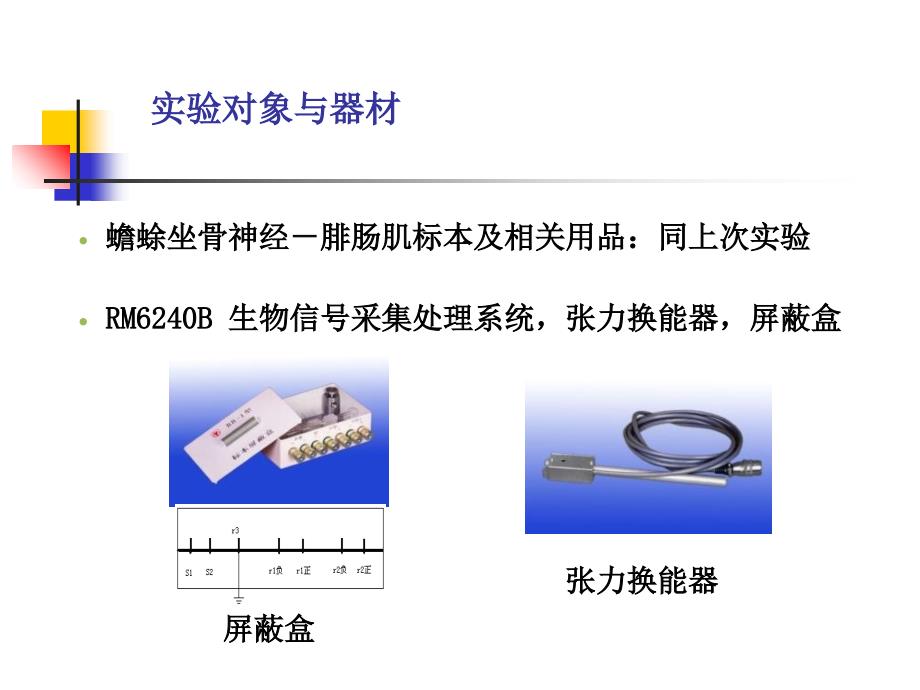 课件2肌肉神经52808839文档资料_第4页