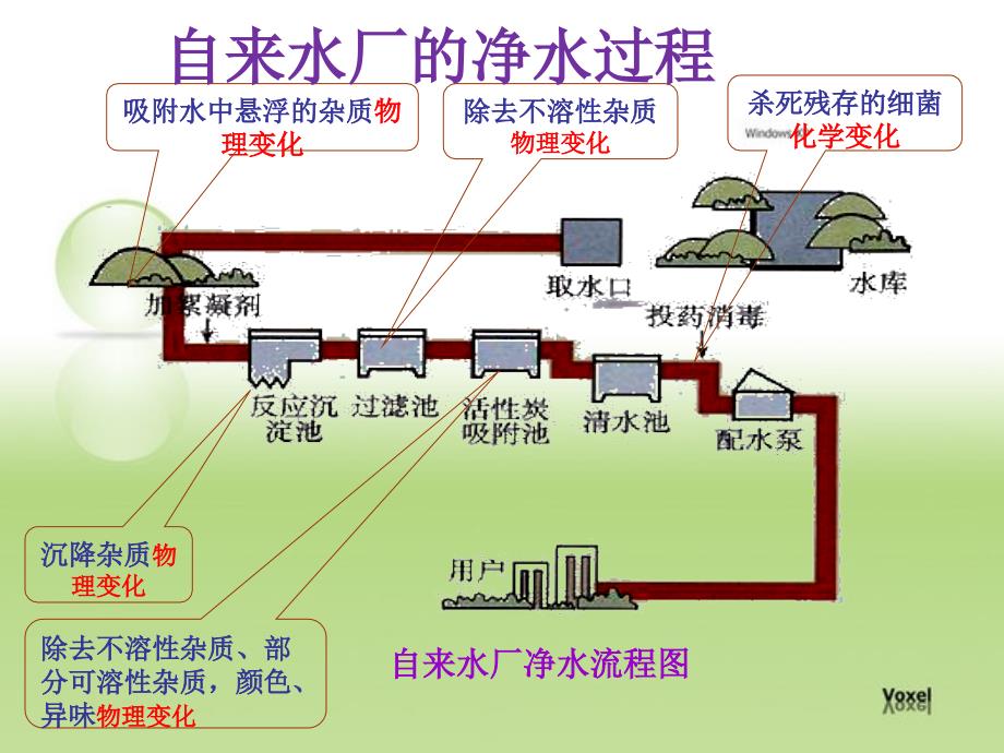 自来水厂的净水过程_第1页